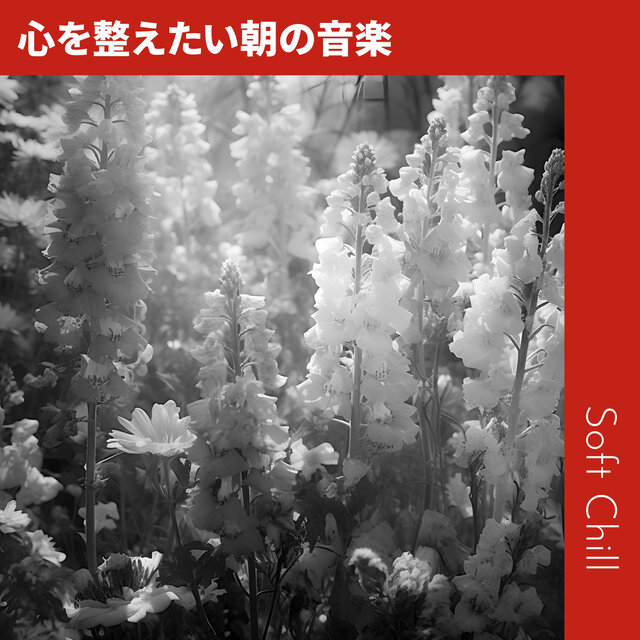 心を整えたい朝の音楽