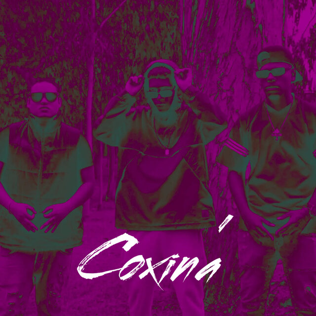 Coxinada