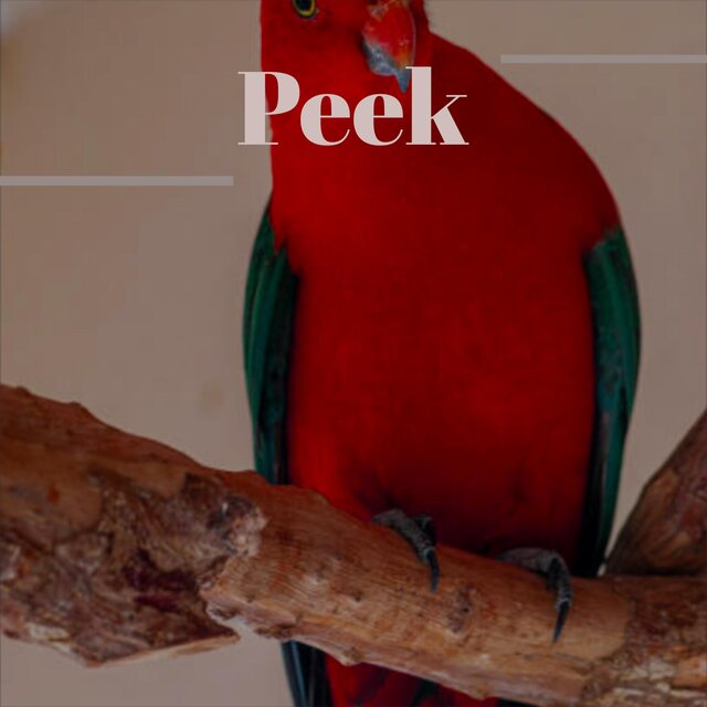 Peek