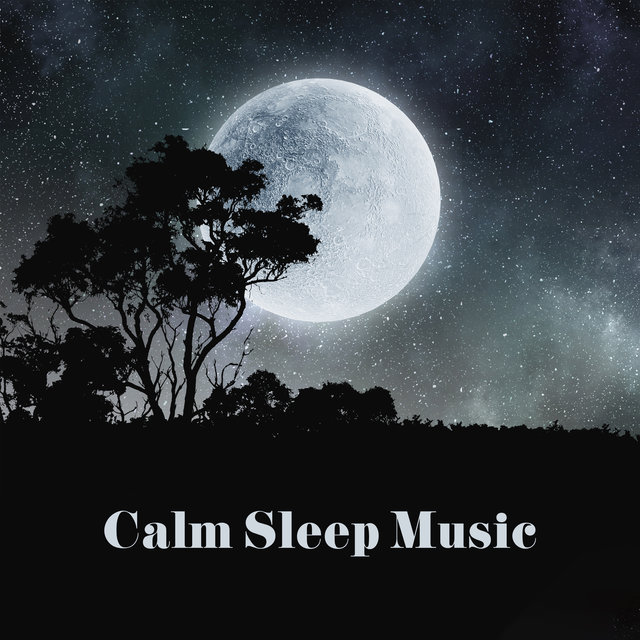Calm Sleep Music