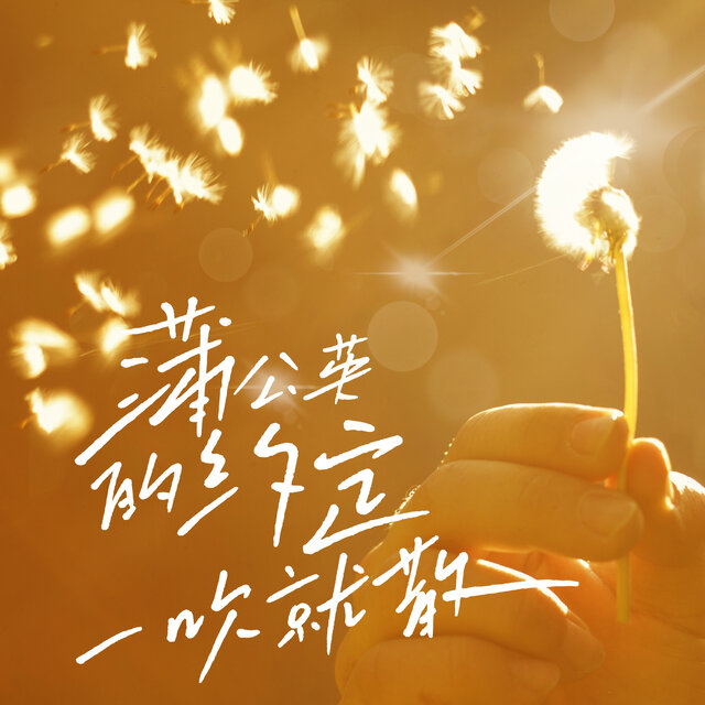 蒲公英的约定一吹就散