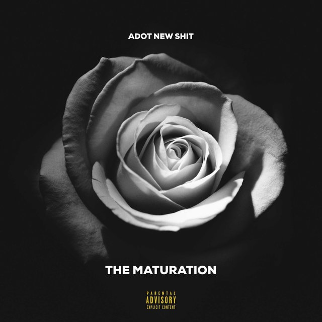 The Maturation