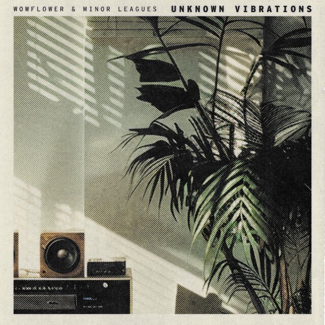 Unknown Vibrations  