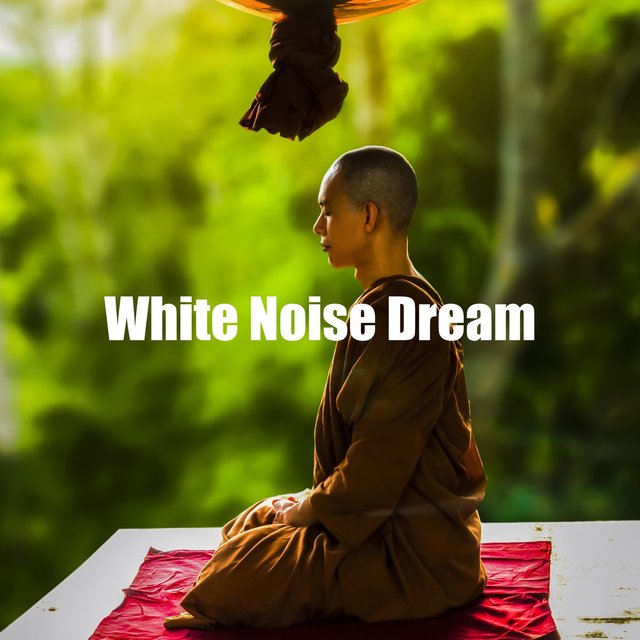 White Noise Dream