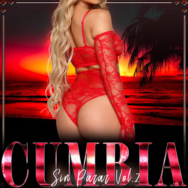 Cumbia Sin Parar, Vol. 2