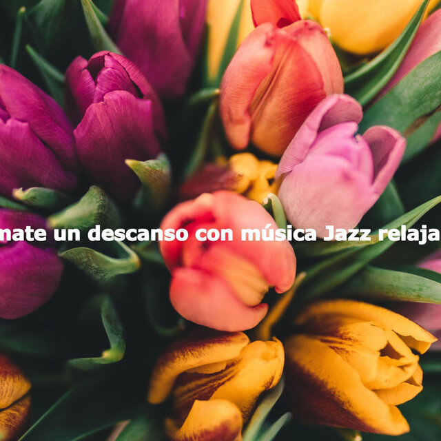 Tómate un descanso con música Jazz relajante