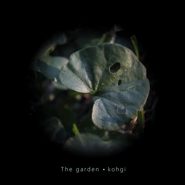 The garden