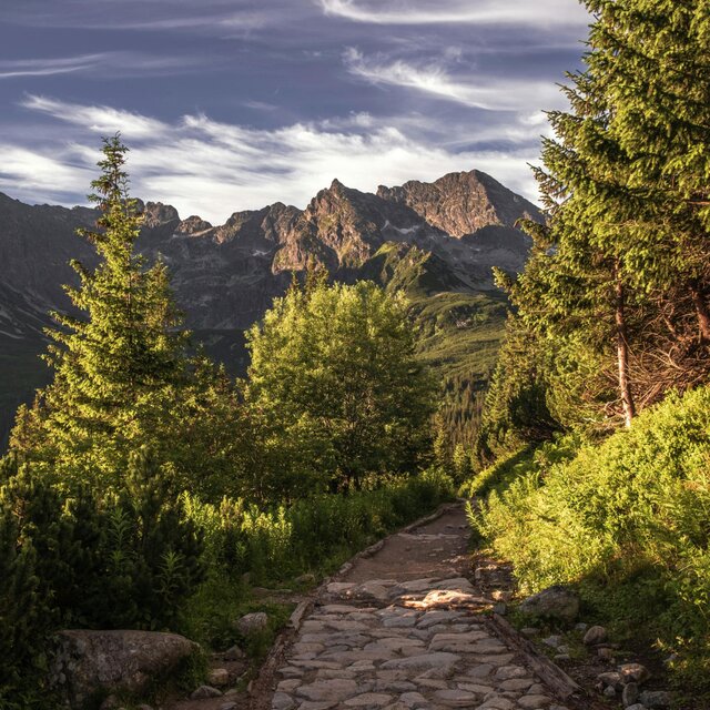 Fading Trails