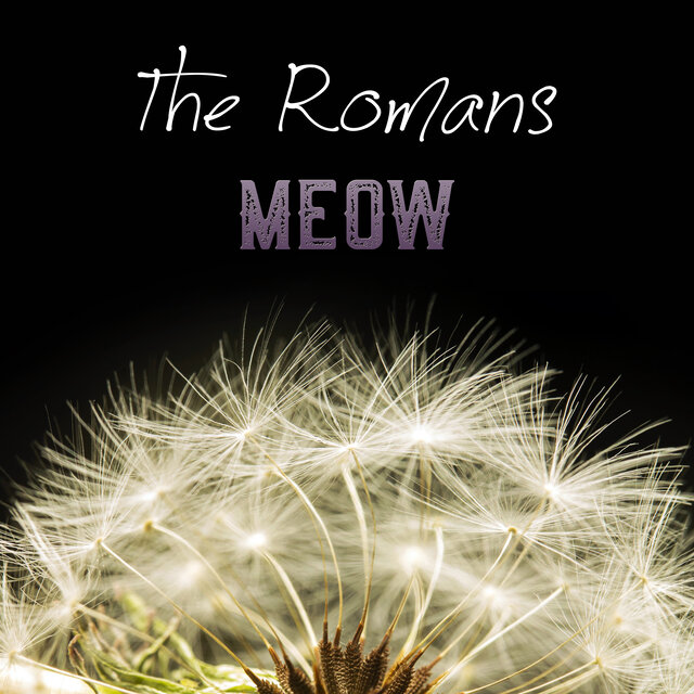 Meow