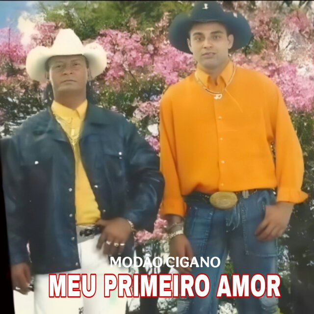 Meu Primeiro Amor