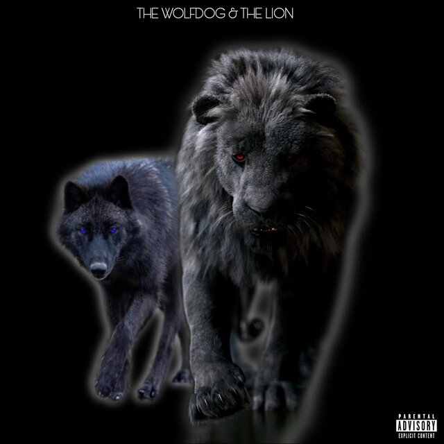 The Wolfdog and The Lion