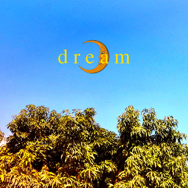 D R e a M