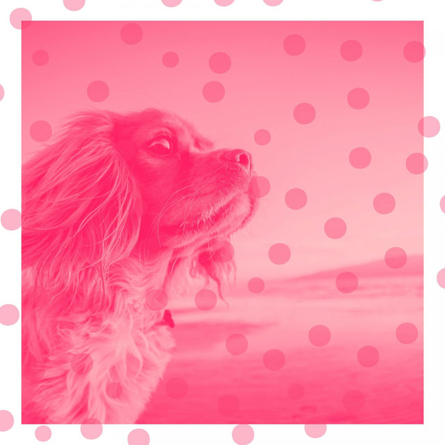 Bossa Saxophone - Background for Calming Dogs