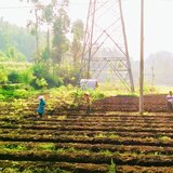 Sond sunda Pedesaan indah