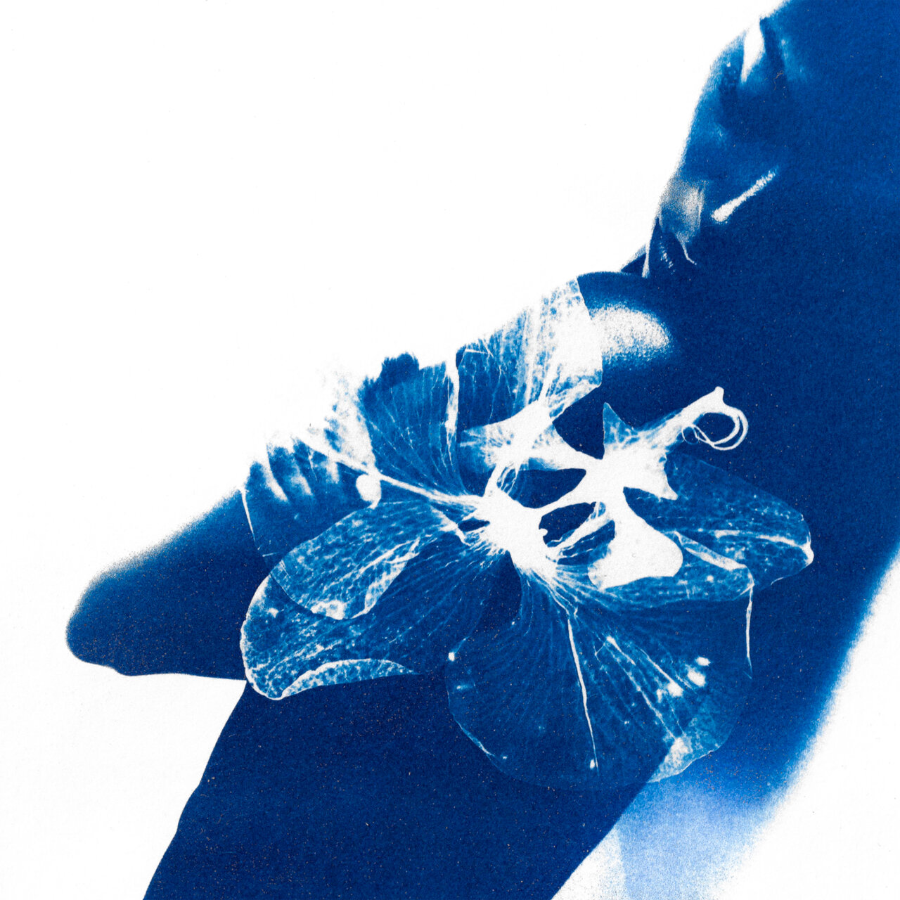 Tora-i — Girl cover artwork