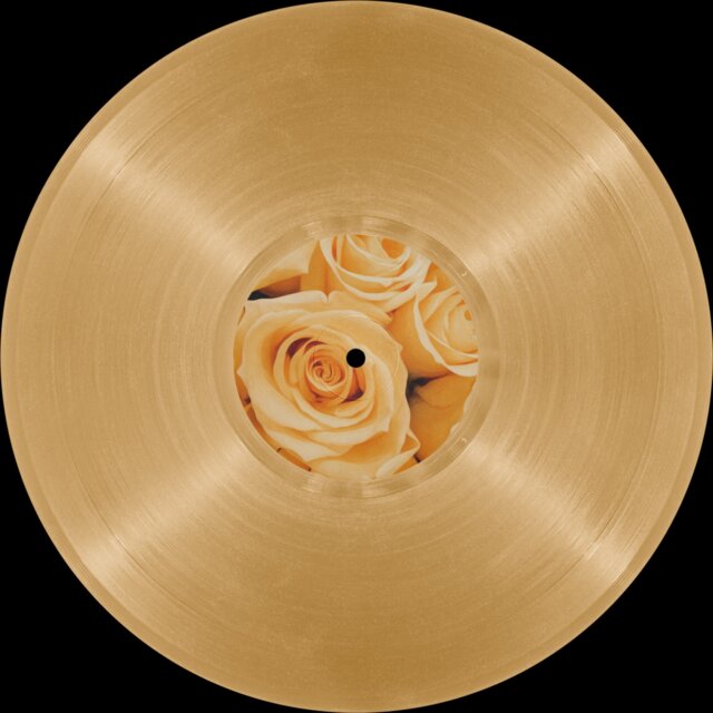 Cover art for album ~ Windrose ~ by User