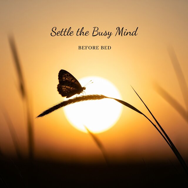 Settle the Busy Mind Before Bed