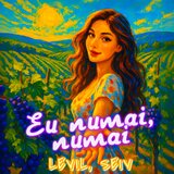 Eu numai, numai
