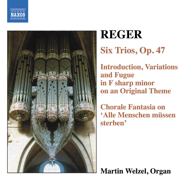 Reger, M.: Organ Works, Vol.  6