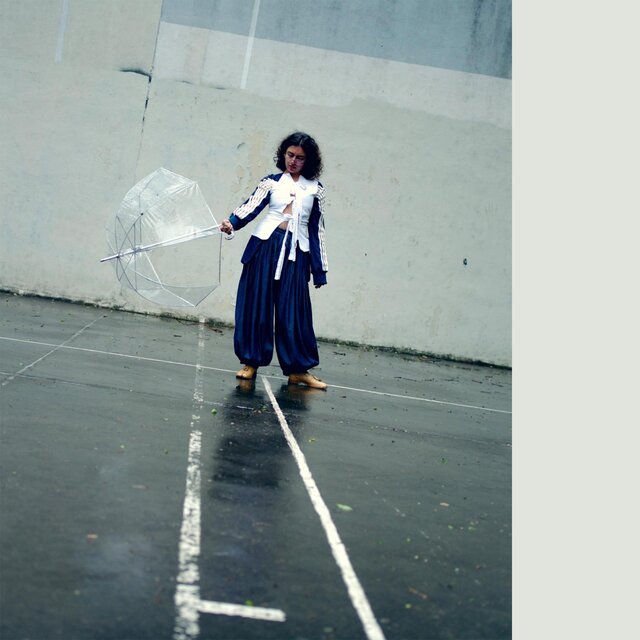 the petrichor