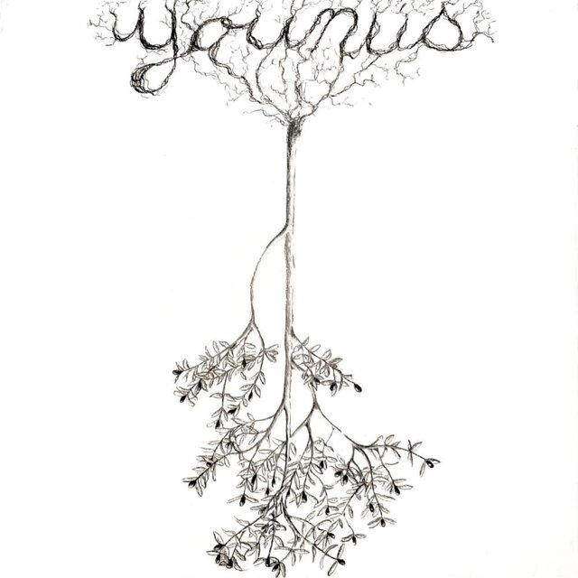 Younus