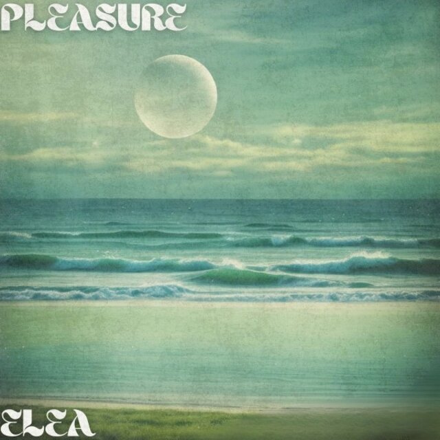 Pleasure