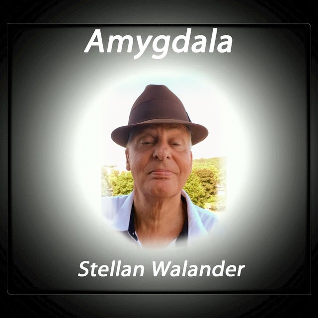 Amygdala