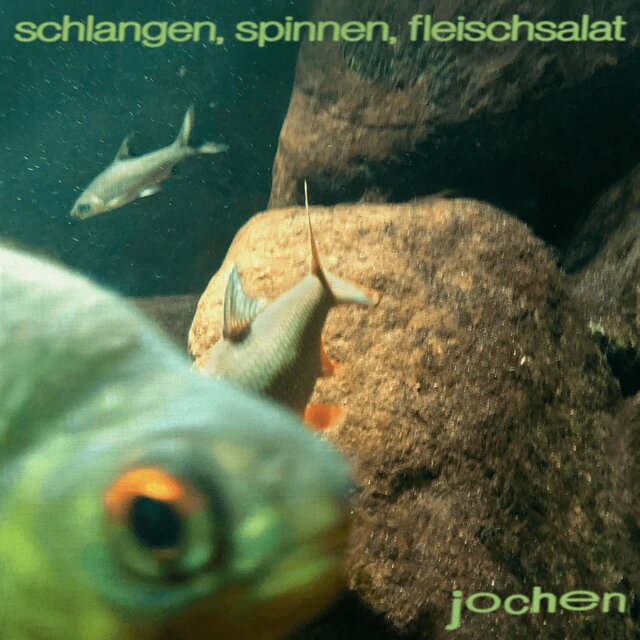 Schlangen, Spinnen, Fleischsalat