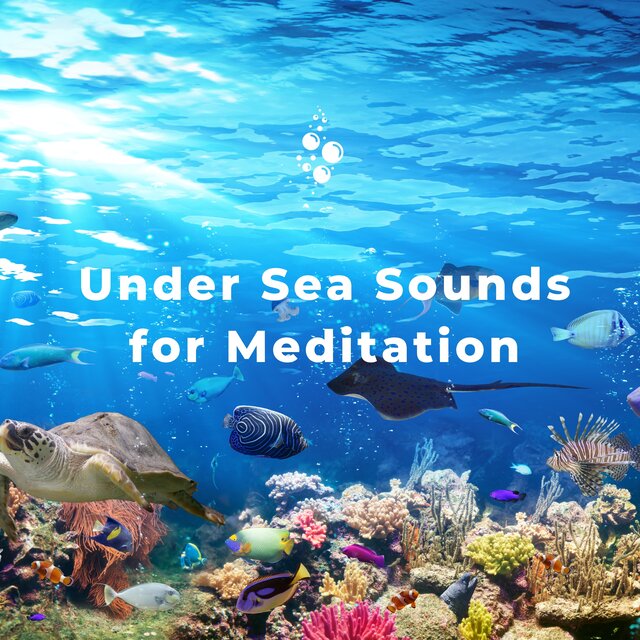 Under Sea Sounds for Meditation