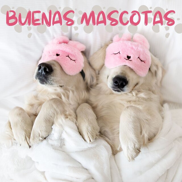 Buenas Mascotas: Música Armoniosa para Animales Calmados