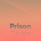 Placeless Wheel