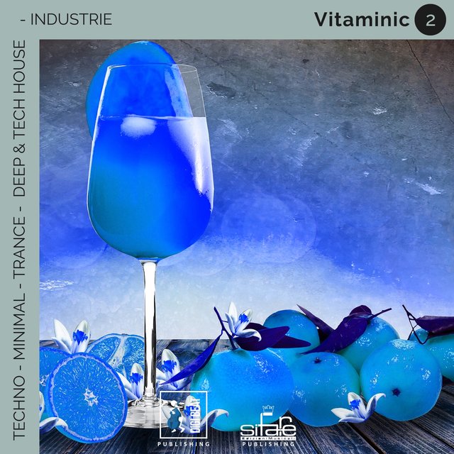 Vitaminic 2 (Remix Version)