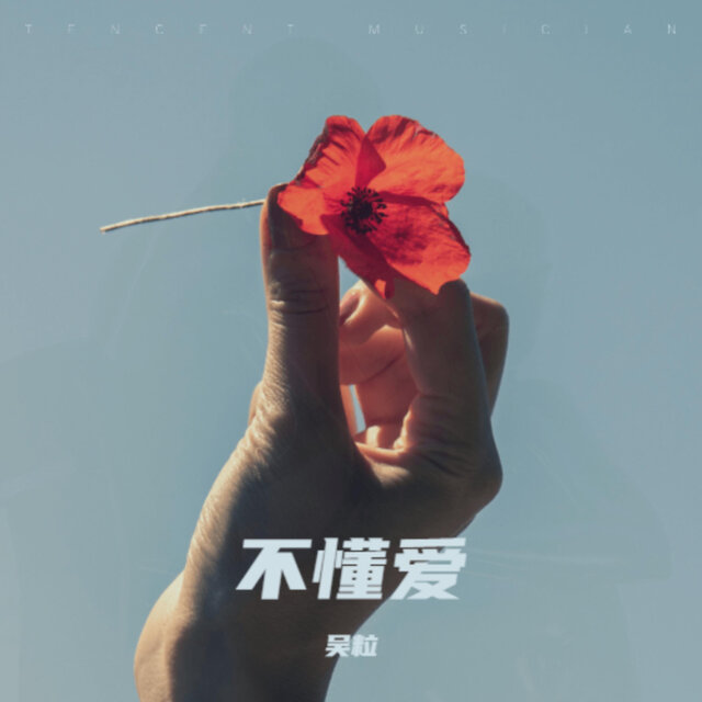 不懂爱
