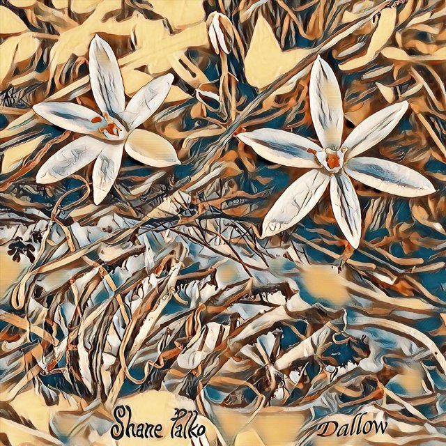 Dallow