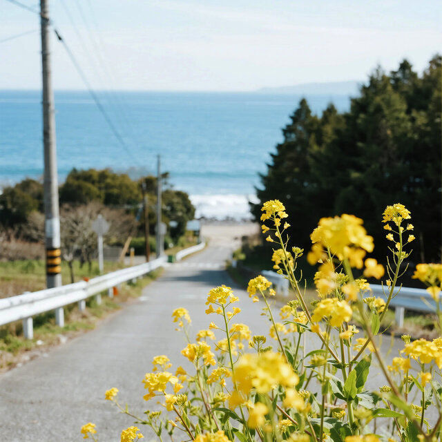 That Distant Shore