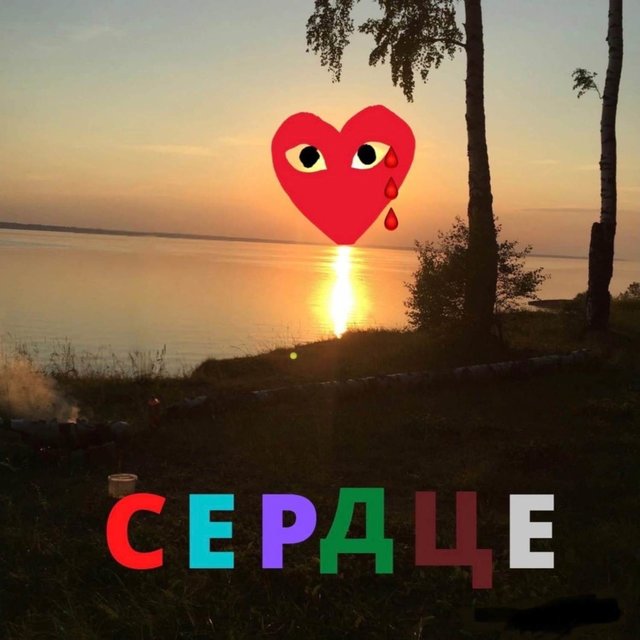 Сердце