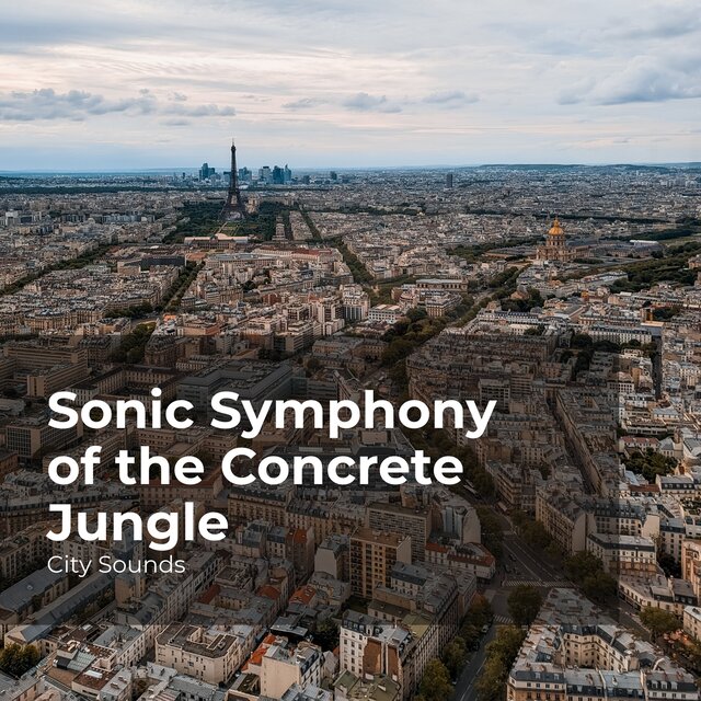 Sonic Symphony of the Concrete Jungle