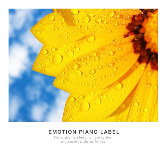 Warm emotional piano collection that wipes tears