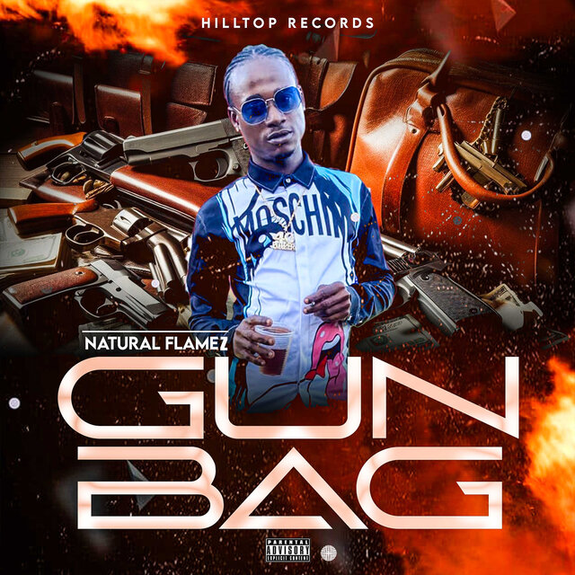Gun Bag