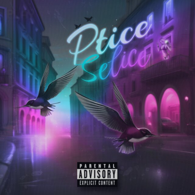 Ptice Selice (Remix)