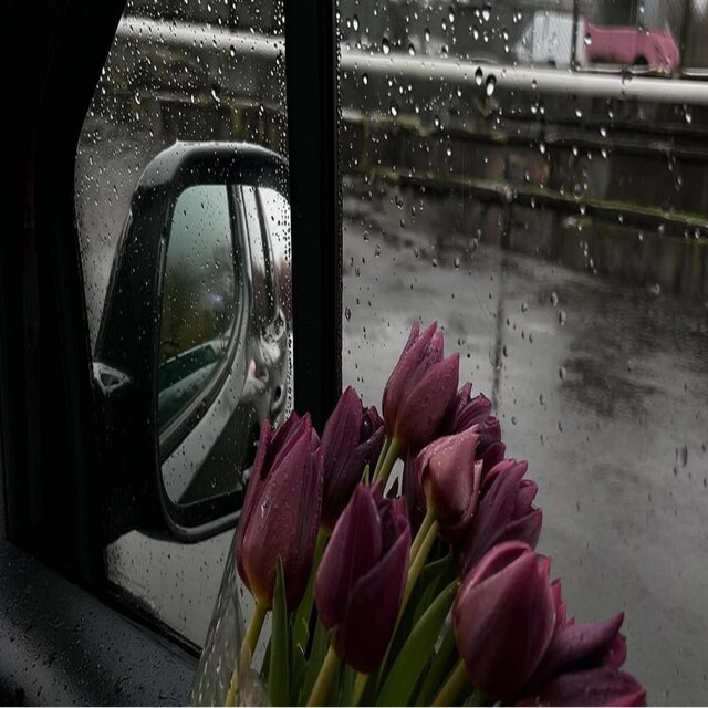 cozy rainy jazz