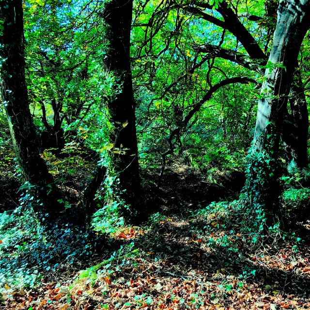 Lost garden of Eden