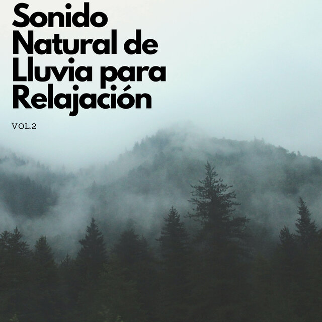 Sonido Natural De Lluvia Para Relajación Vol. 2 by Sonidos de lluvia y ...