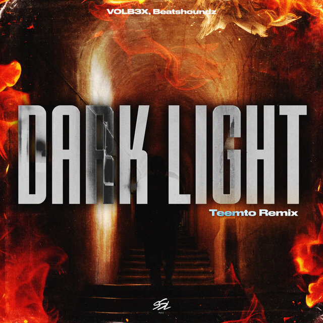 Dark Light (Teemto Remix)