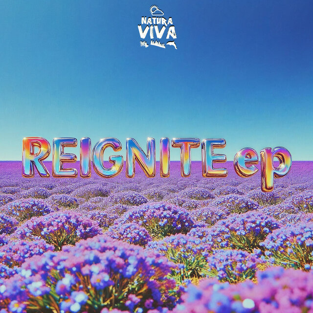 Reignite