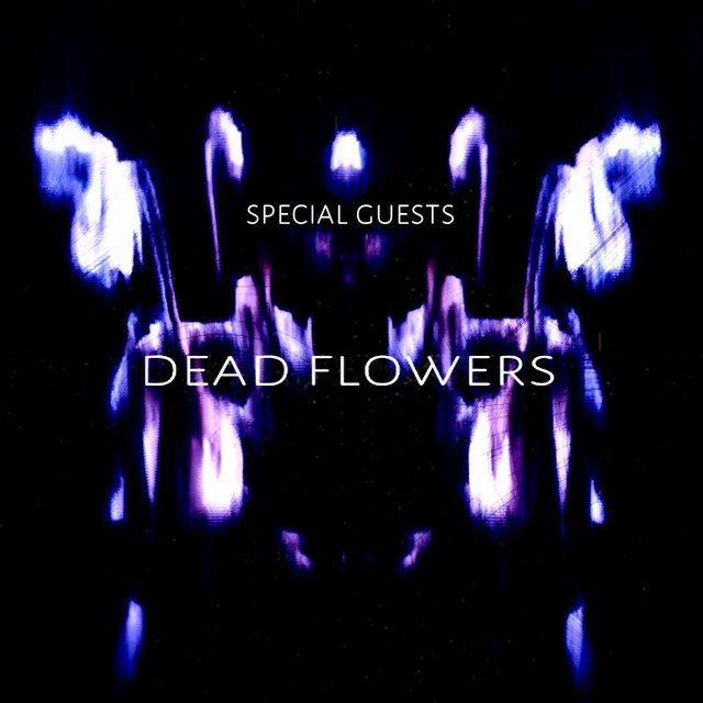 Dead Flowers