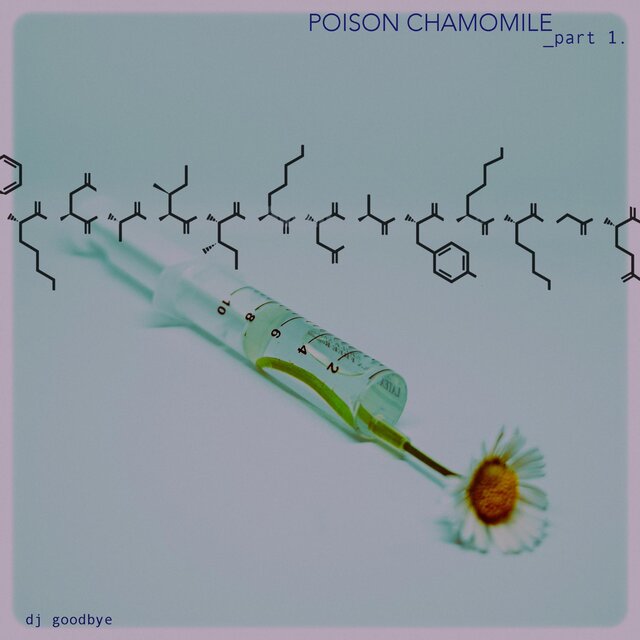 poison chamomile part 1