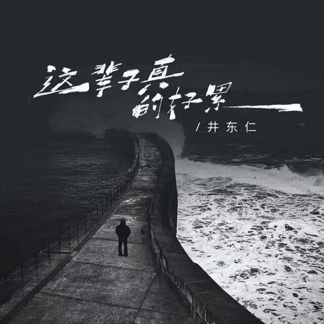 这辈子真的好累