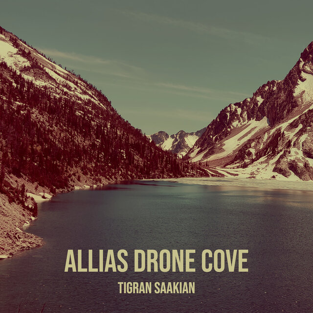 Allias Drone Cove