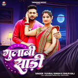 Gulabi Sadi